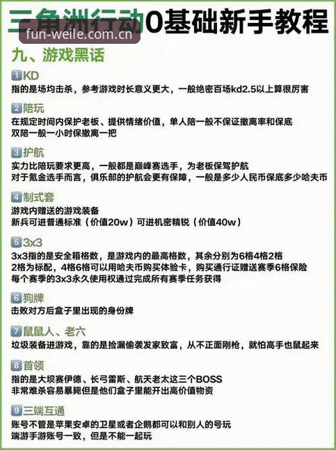 微乐游戏iOS版 微乐游戏iOS版安装与使用教程:从下载到联机对战的完整指南