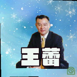 王蕾